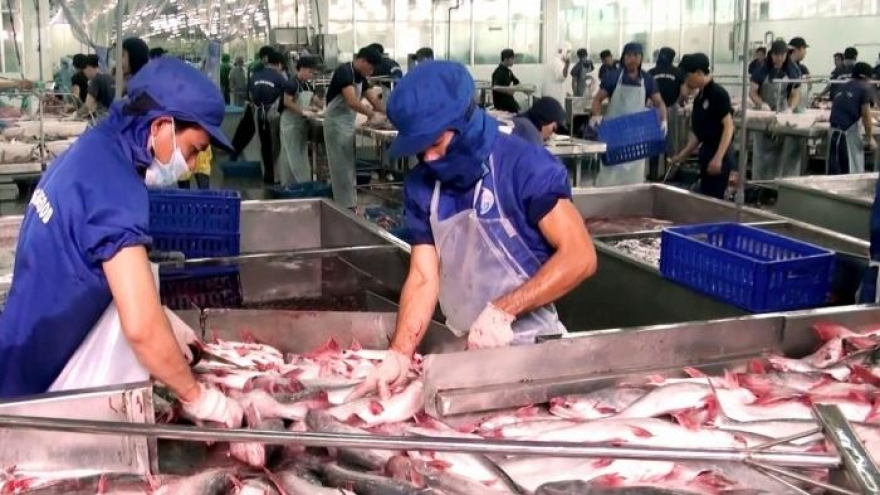 Pangasius exports to CPTPP market to see positive growth this year